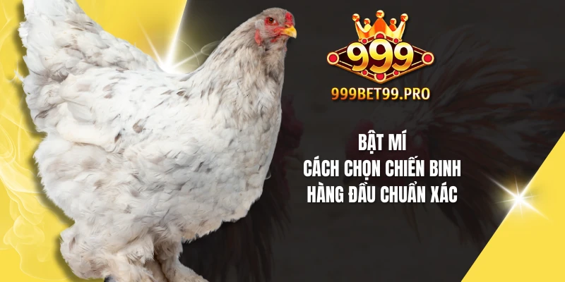 Bật mí cách chọn chiến binh hàng đầu chuẩn xác
