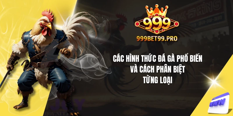Các hình thức đá gà phổ biến và cách phân biệt từng loại