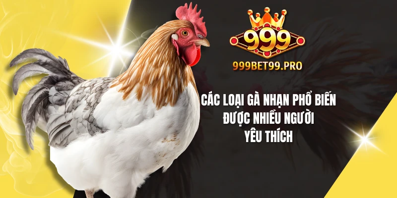 Các loại gà nhạn phổ biến được nhiều người yêu thích