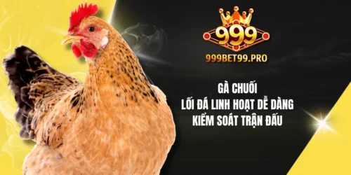 ga chuoi loi da linh hoat de dang kiem soat tran dau