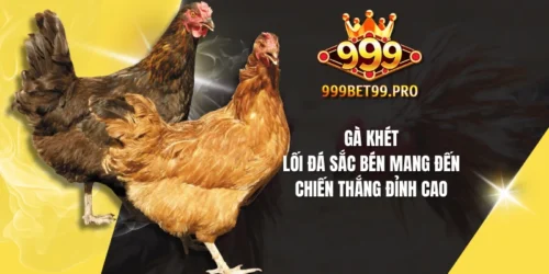ga khet loi da sac ben mang den chien thang dinh cao