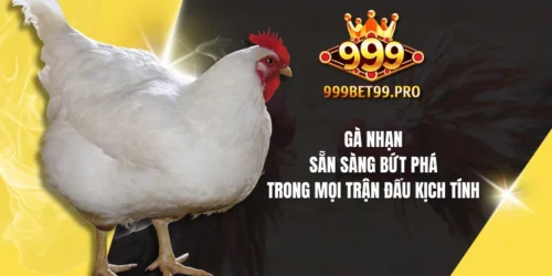 ga nhan san sang but pha trong moi tran dau kich tinh