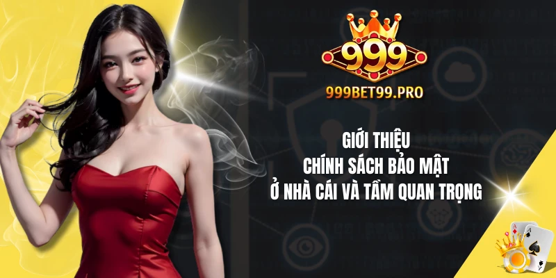 Giới thiệu chính sách bảo mật ở nhà cái và tầm quan trọng