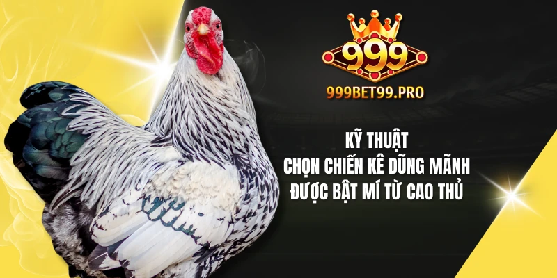 Kỹ thuật chọn chiến kê dũng mãnh được bật mí từ cao thủ