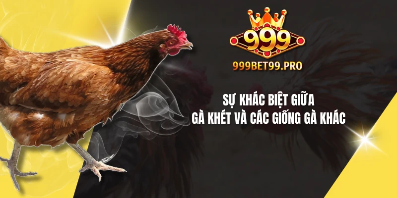 Sự khác biệt giữa gà khét và các giống gà khác